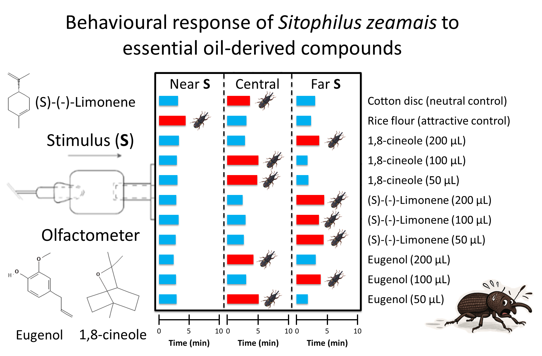 De Sousa et al Graphical Abstract